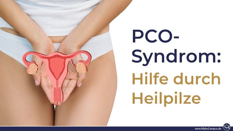 PCO-Syndrom – Hilfe durch Heilpilze