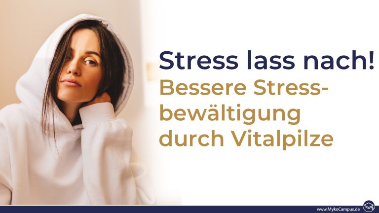 Stress lass nach! Bessere Stressbewältigung durch Vitalpilze